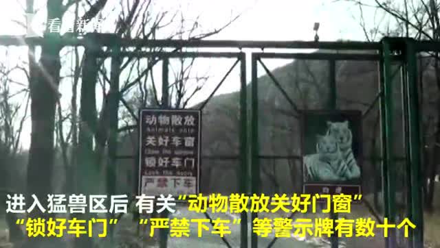 北京八达岭动物园东北虎园重新开放 入口处新增游客警示牌