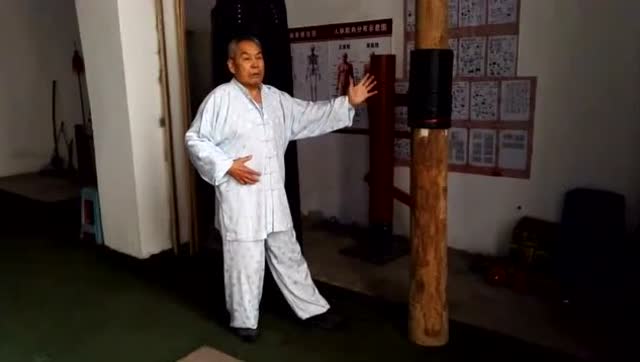 张氏八极拳 小架劲力演练