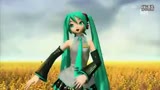 曾庆淼-初音未来甩葱歌MV.flv