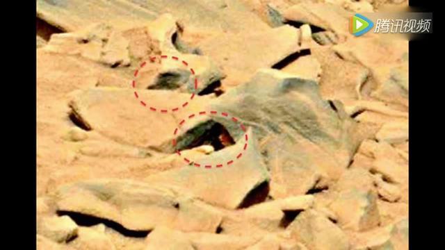 未解之谜 nasa拍摄的火星照片 是生物还是石头?