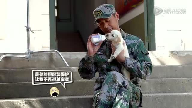 《神犬奇兵》狗狗小米成长篇