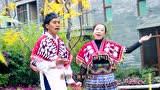 杨花敏个人专辑《卢花》苗族歌曲阿卯歌曲