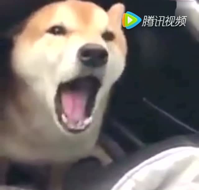 搞笑版《洗澡》呕吐