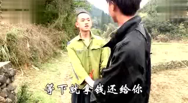 广西老表爆笑偷橘子!原来你是这样的橘子!