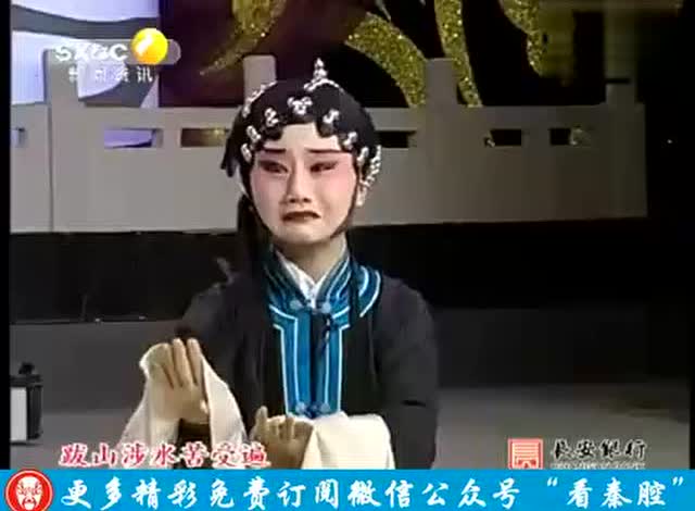 张武宏说秦腔