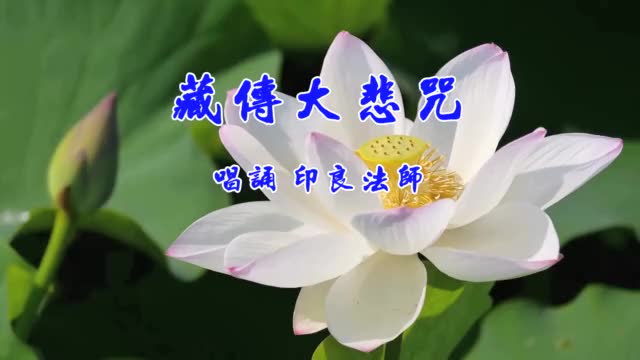 藏传大悲咒(印良法师)