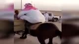 小马撒娇扑倒美女美女怀中外国男跑图片