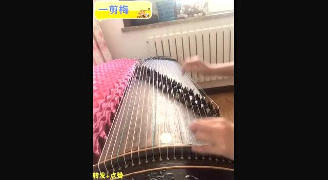 小提琴独奏《鸿雁》