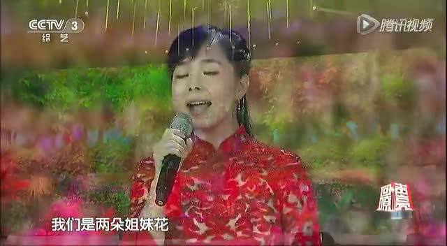 王二妮,王小妮姐妹同唱《高原蓝》都很美唱功也都不错