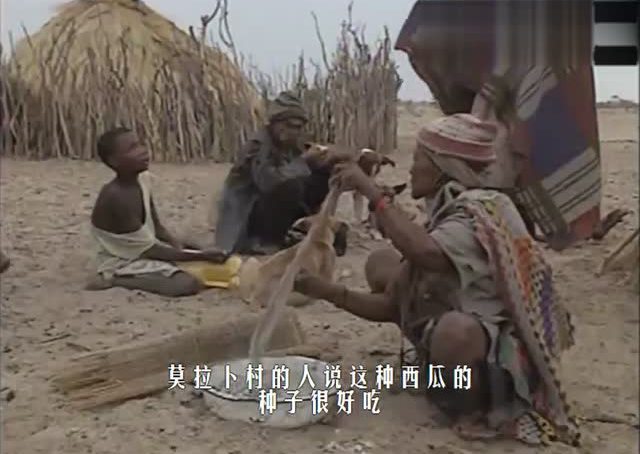 非洲的西瓜,不一样的吃法,眼界大开!