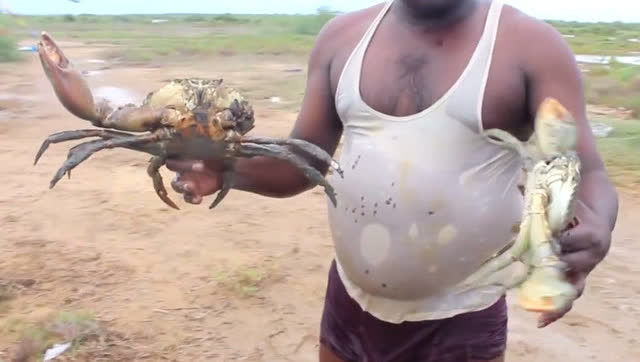 中国吃货们要哭了,印度抓一个螃蟹"超级大螃蟹精"!