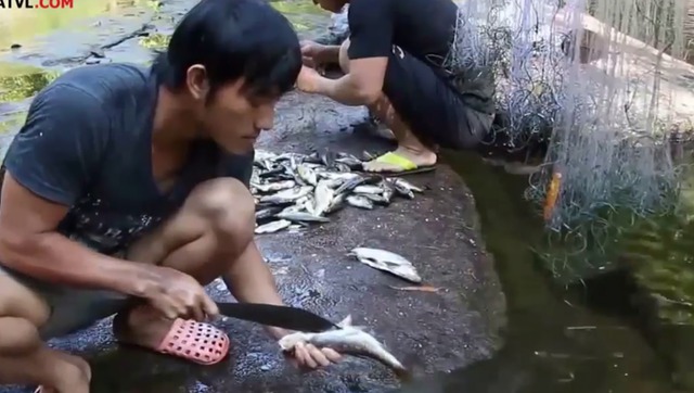 实拍:男子山中小溪用网抓鱼,田螺,煮田螺烤小鱼!