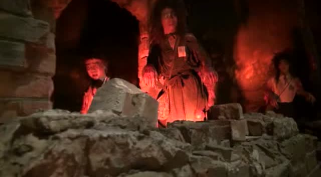 日本广岛原子弹爆炸后引发的物种变异 震惊全世界