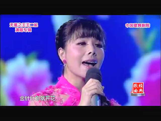 王二妮演唱《桃花红杏花白》很好听