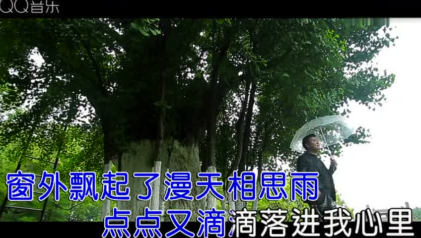 一曲《漫天相思雨》送给我思念的人