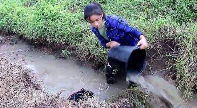 实拍:农村姑娘在水沟里舀水捉鱼