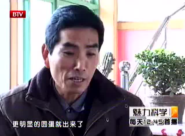农村老汉修百年古屋,突现紫红色怪板,翻开一看令他两眼发直!