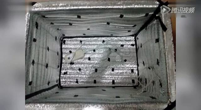 变废为宝—泡沫箱制作保温箱(可恒温发酵用)