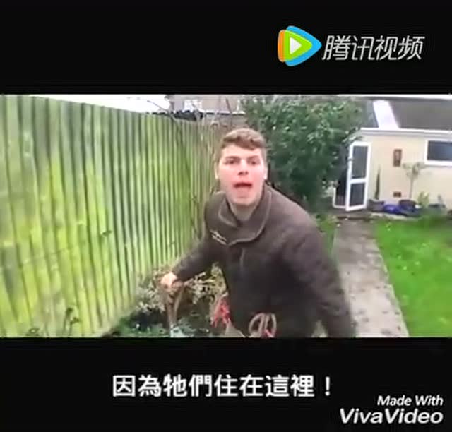 奇特小世界搞笑精选 花园鼹鼠大作战