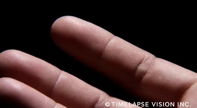 手指上的汗腺近距离看我有点鸡皮疙瘩