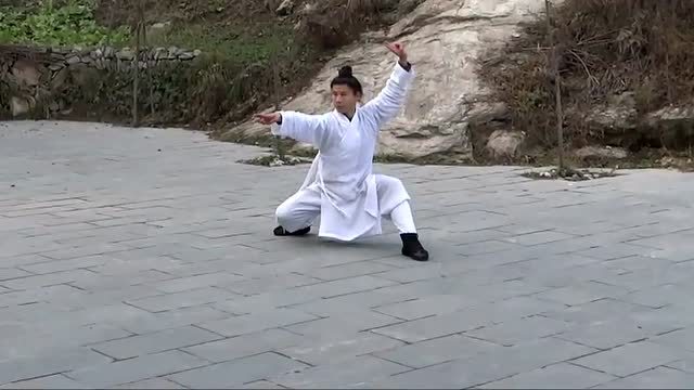 道教功夫:武当玄武拳