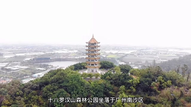 春节游十八罗汉山森林公园_腾讯新闻