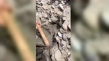 优雅的小甜心的个人频道
