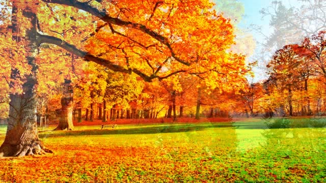 立秋时节：一首萨克斯名曲《秋之叶》祝福大家，立秋快乐！