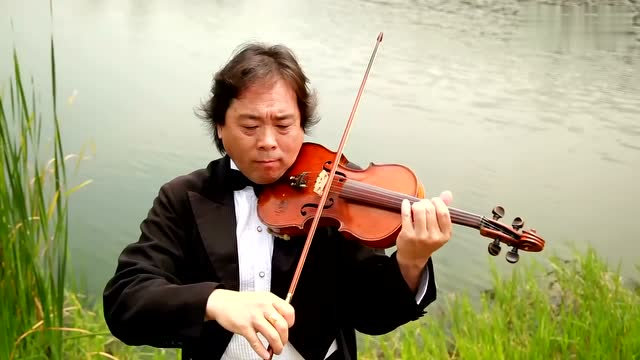 小提琴独奏鸿雁图片