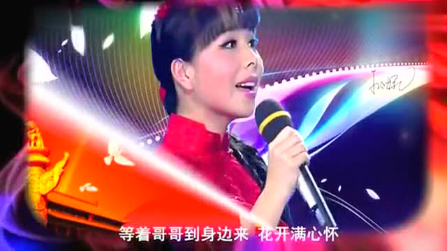 王二妮 & 红都组合 《唱不够的陕北情》